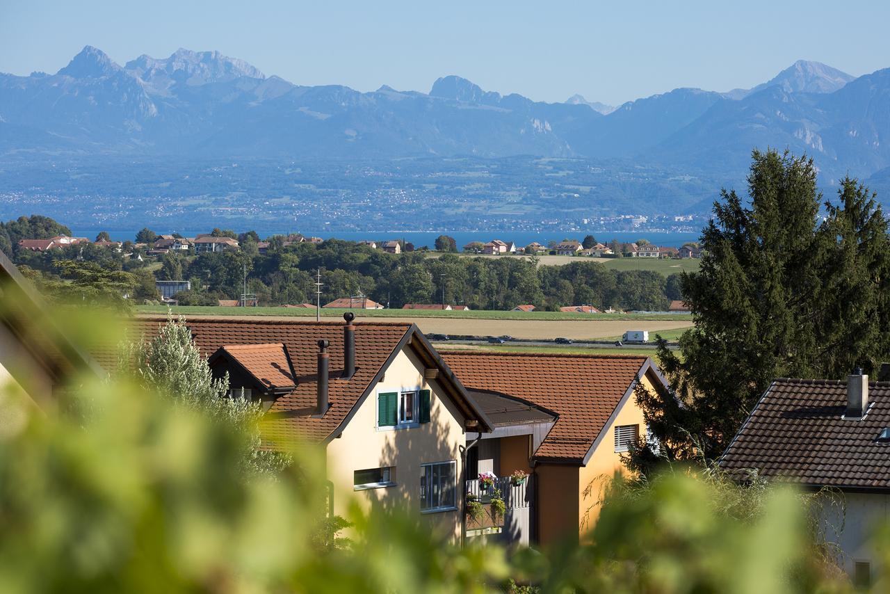 Cave Du Treyblanc Bed & Breakfast Luins Exterior photo