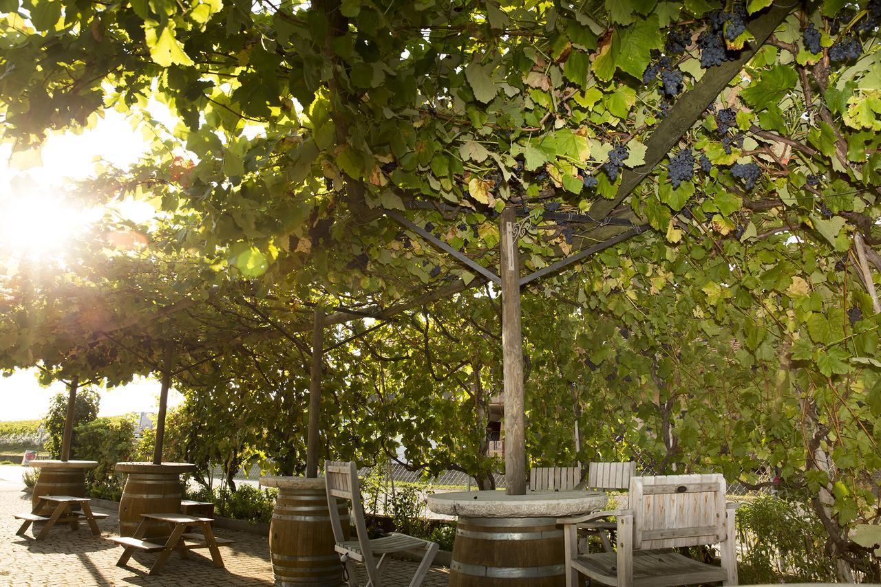 Cave Du Treyblanc Bed & Breakfast Luins Exterior photo