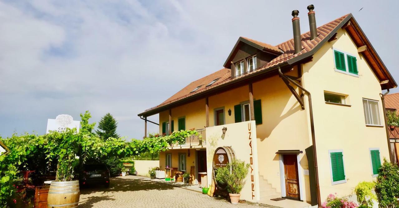 Cave Du Treyblanc Bed & Breakfast Luins Exterior photo